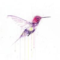 Hummingbird I Gold Leaf XL By Dave White