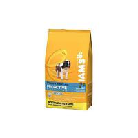 IAMs Dog Adult Small/Medium Breed