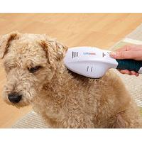 Ionic Pet Brush