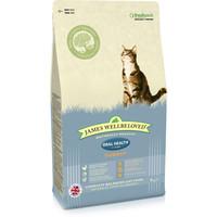 James Wellbeloved Oral Health Turkey Adult Cat Food