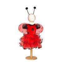 Ladybird Dress-Up