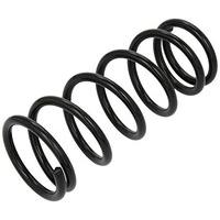 lesjofers 4262024 Coil Spring Rear