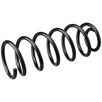 lesjofers 4244226 Coil Spring Rear