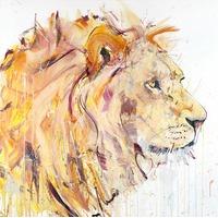 Lion By Dave White