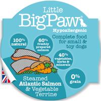 Little Big Paw Steamed Salmon & Veg Dinner Dog Food