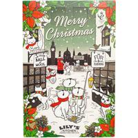 Lilys Kitchen Christmas Advent Calendar For Cats