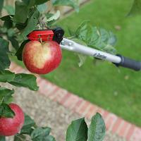 Long Handled Pruning Snapper