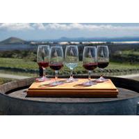 Maipú Wine-Tasting Tour from Mendoza Including Trapiche Winery