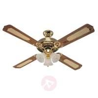 Monarch Trio ceiling fan with changeable blades