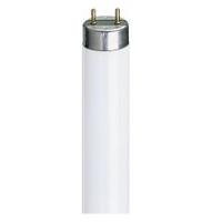 Osram L70W/835 T8 Fluorescent Tube