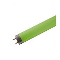 Osram HE 28 W/66 T5 tube GREEN - 4008321161864