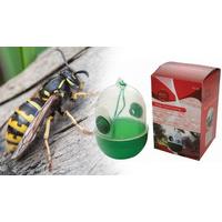 Pack of 8 Wasp Traps