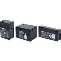 Panasonic UP-VW0645P1, 6V Ah lead acid battery