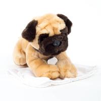 Personalised Pug