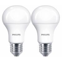 Philips 13W(100W) E27