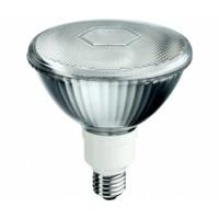 Philips Downlighter ES PAR38 20W E27