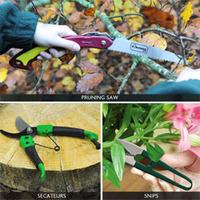 Pruning Kit - 1 Pruning Kit