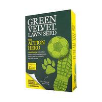 Professional Grass Seed for Lawn Repair