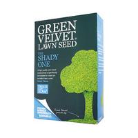 Professional Grass Seed for Lawn Repair