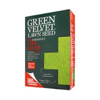 Professional Grass Seed for Lawn Repair