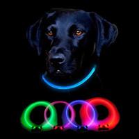 Red Dingo Lumitube Light Up Dog Collar