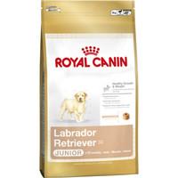 Royal Canin Labrador Retriever 33 Junior Food