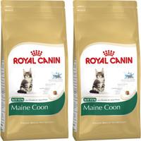 Royal Canin Breed Nutrition Maine Coon 36 Kitten Food