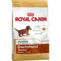 Royal Canin Dachshund Junior Dog Food