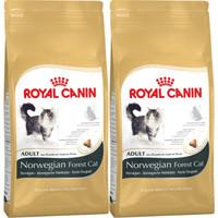 Royal Canin Breed Nutrition Norwegian Forest Adult Cat Food