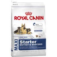 Royal Canin Maxi Starter Mother & Babydog Dog Food