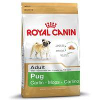 Royal Canin Pug Adult - Economy Pack: 3 x 3kg