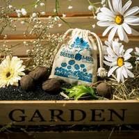 Seed Bombs - Daisies daisy mix