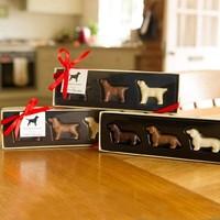 Set of 6 Chocolate Dogs