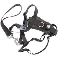 Small Dog Harness