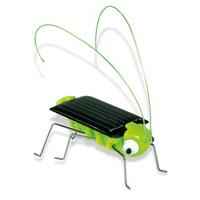 Solar Bugs