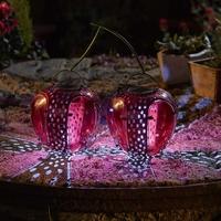 Solar Cherries Lantern