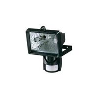 Spectra Miniflood Floodlight in Black L510NBLK