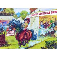 Thelwell Flower Show Jigsaw Puzzle 1000 Pieces