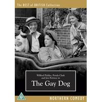 The Gay Dog [DVD] (1954)