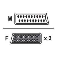 V7 Scart Splitter 3 Way 0.4m - Scart 1x M To 3x F Blk Retail