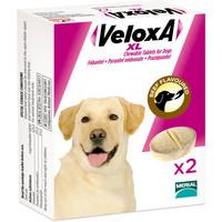 Veloxa Xl Chewable Worming Tablets For Dogs