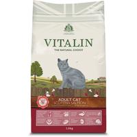 Vitalin Natural Salmon Dry Adult Cat Food