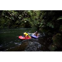 Whitewater Sledging Adventure