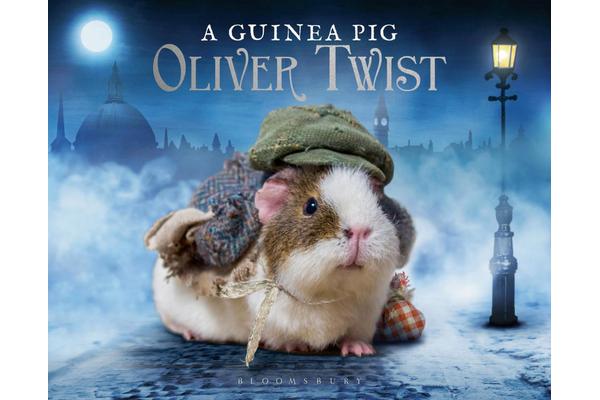 A Guinea Pig Oliver Twist