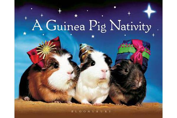 A Guinea Pig Nativity