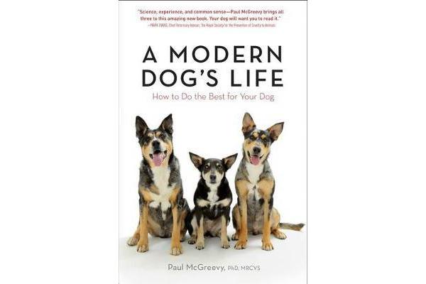 A Modern Dog's Life - How to Do the Best for Your Dog