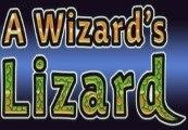 A Wizard's Lizard Steam CD Key