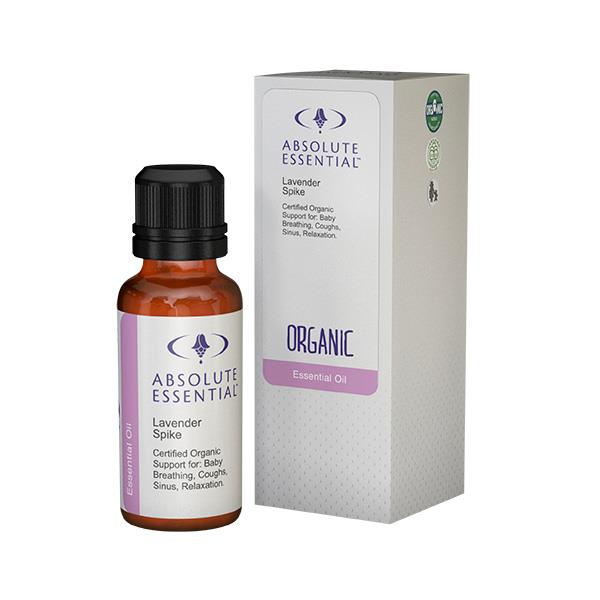 Absolute Essential Organic Lavender Spike Oil 10ml