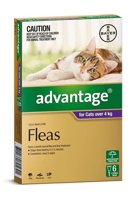 Advantage For Large Cats (Over 4kg) - 6 Pack