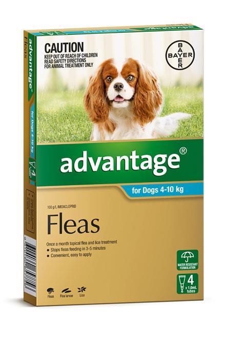 Advantage For Medium Dogs (4-10kg) - 4 Pack